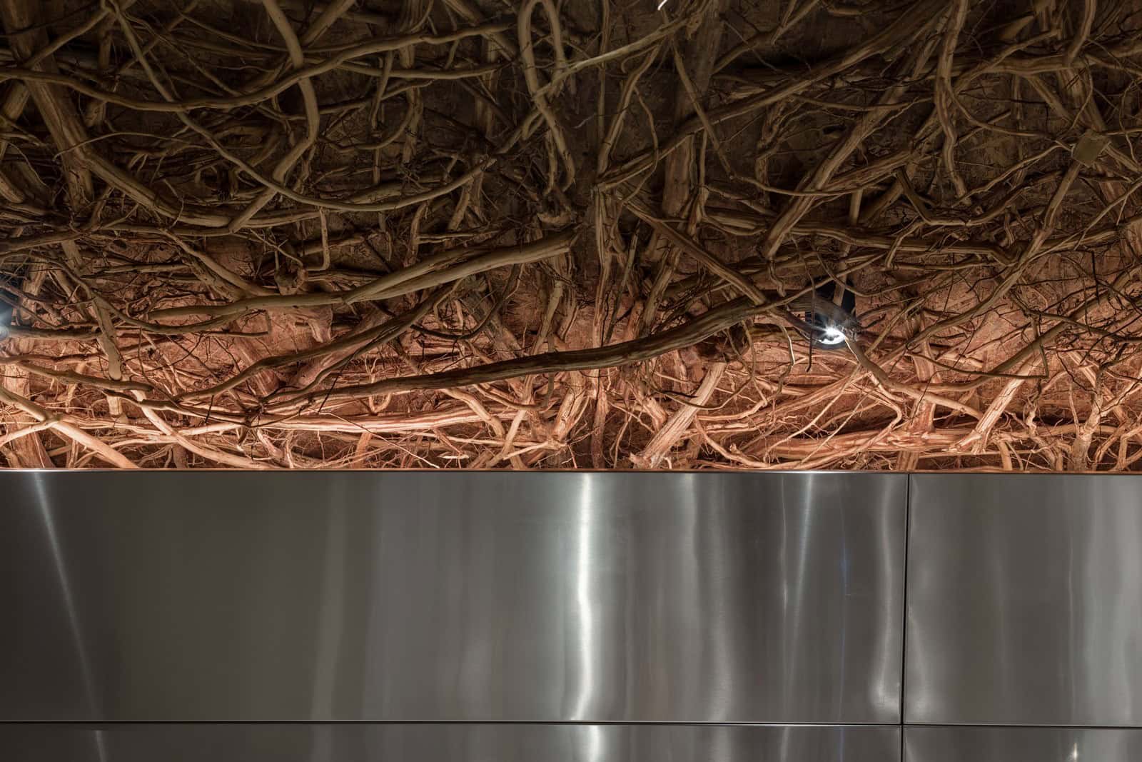 Coffee Shop Kovel Ceiling Branches Steel Wall Steel wall panel beneath a dramatic ceiling of layered wooden branches
