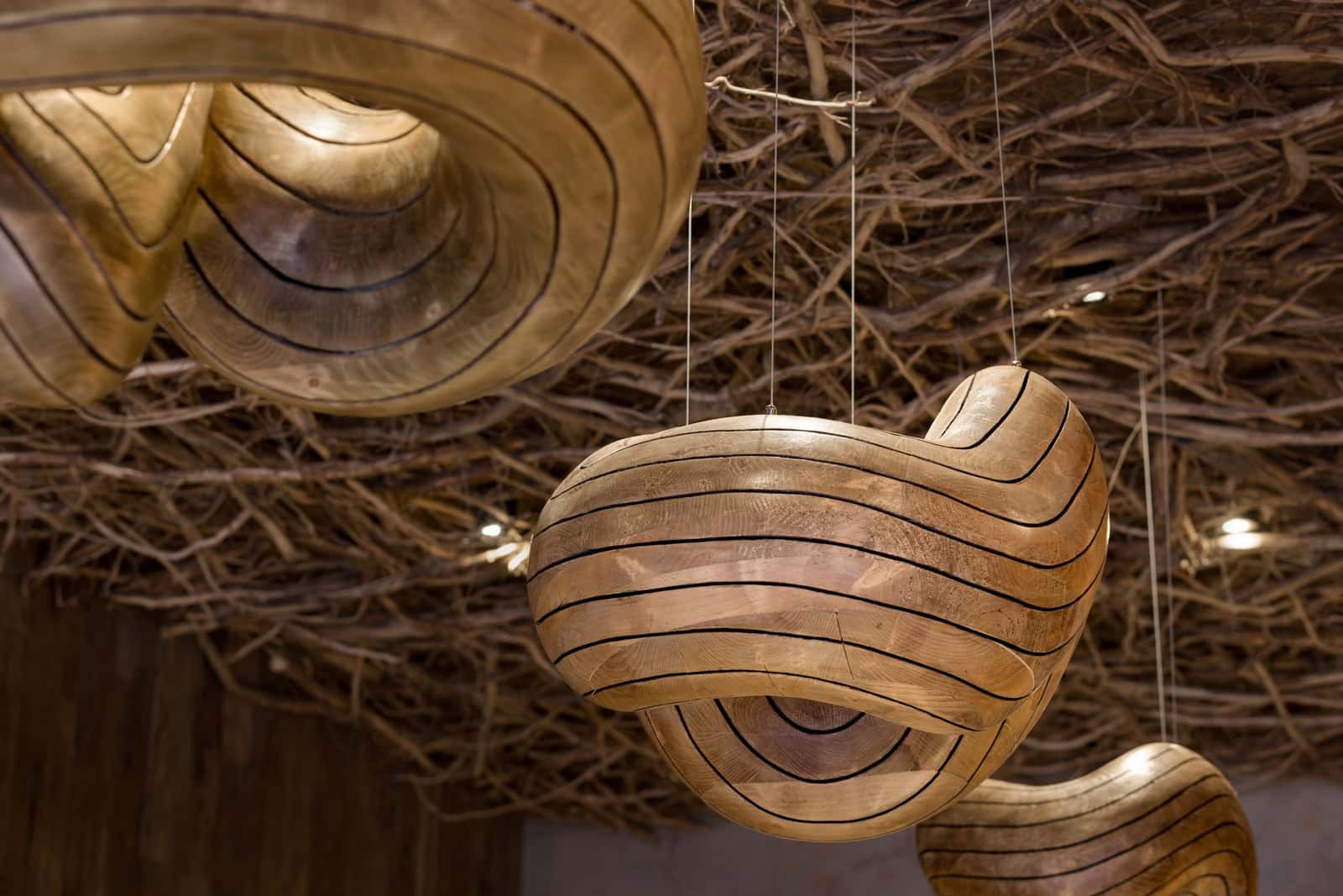 Coffee Shop Kovel Curved Wood Lights Sculptural wooden light fixtures suspended from twig-covered ceiling