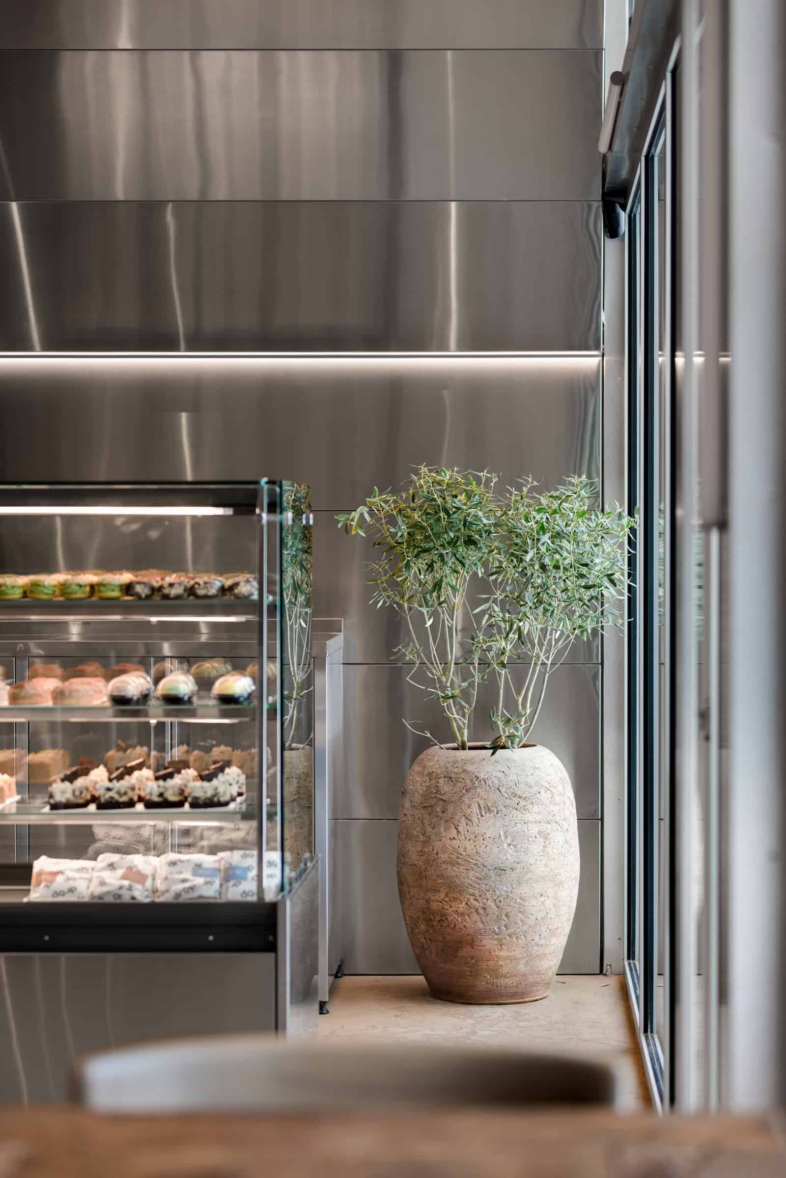 Coffee Shop Kovel Dessert Display Plant Pot Display case with desserts beside a rustic clay plant pot and olive tree in a coffee shop