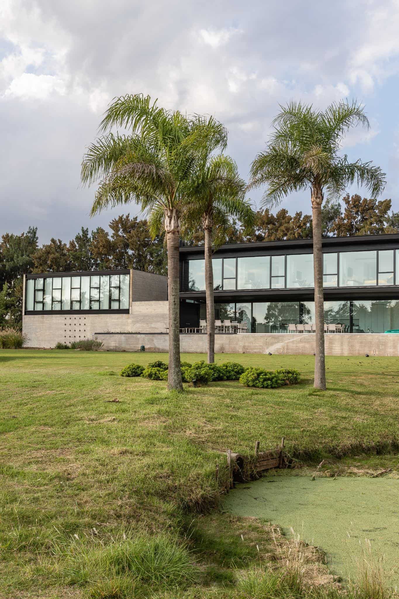 Pacheco House Tropical Setting Daylight Palm trees and manicured lawn setting the tropical scene for the modern Pacheco House.