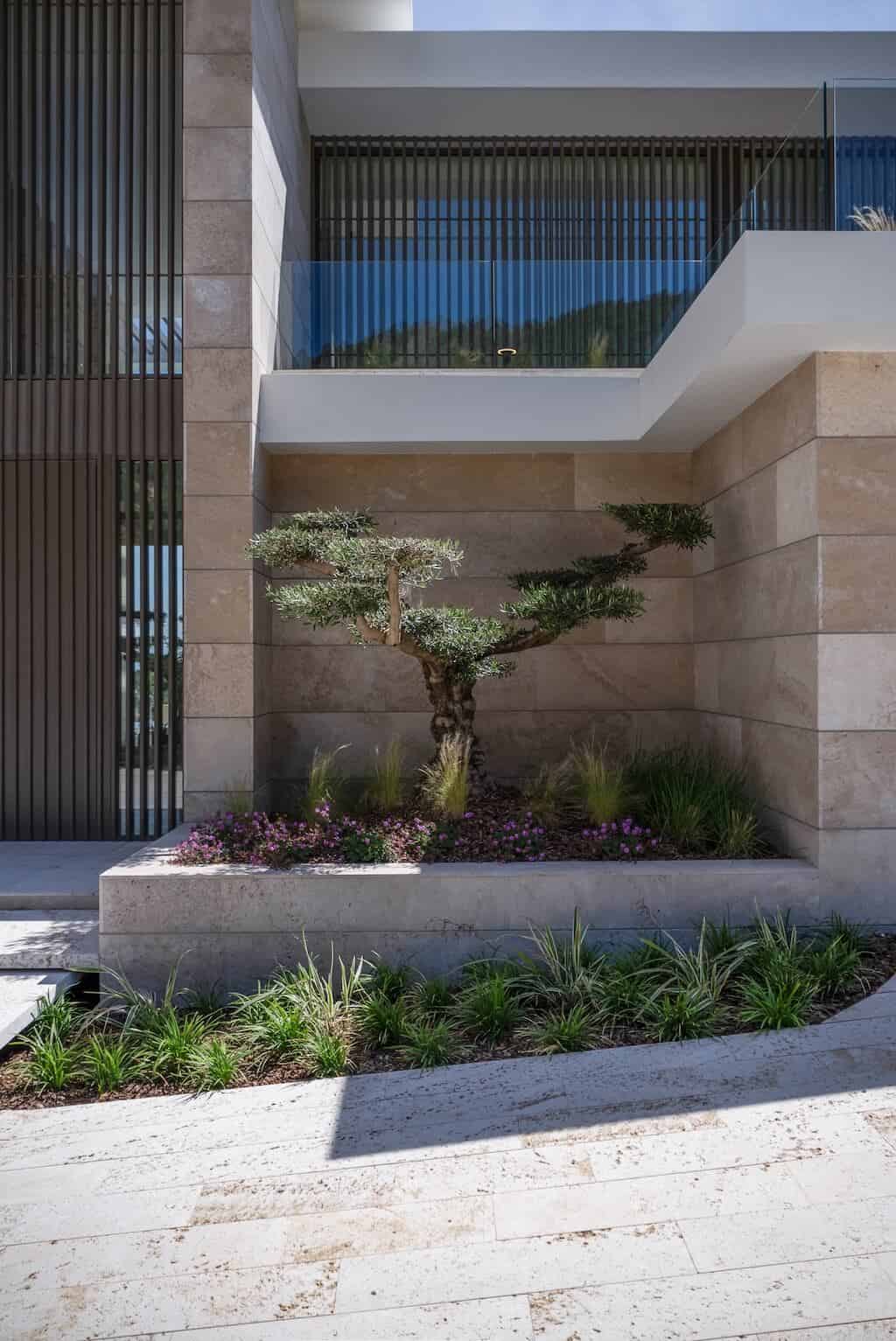 Villa Kaizen Olive Tree Courtyard Beautifully landscaped courtyard at Villa Kaizen featuring an olive tree and clean lines.