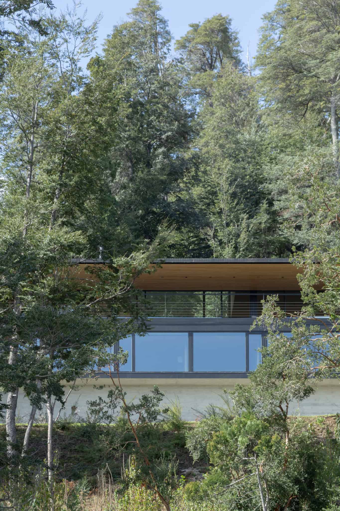 VLA House by A4estudio with floor-to-ceiling forest-facing glass façade.