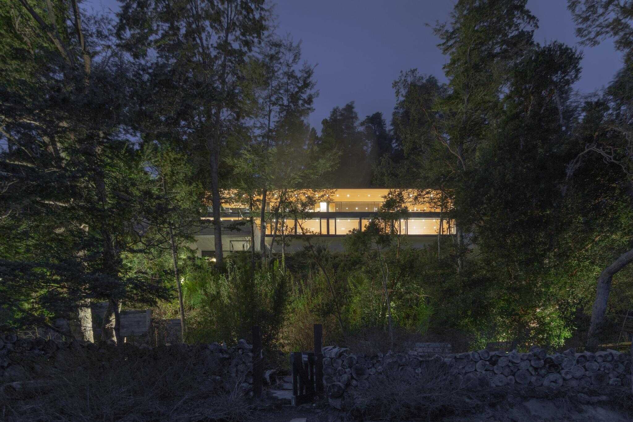 Evening forest view with VLA House by A4estudio glowing in the background.