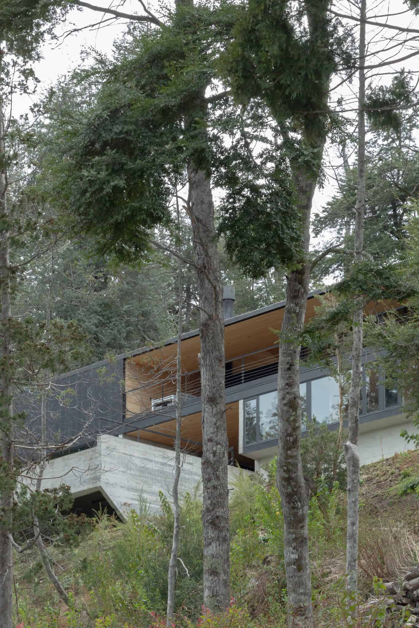 VLA House by A4estudio partially hidden within the dense forest.
