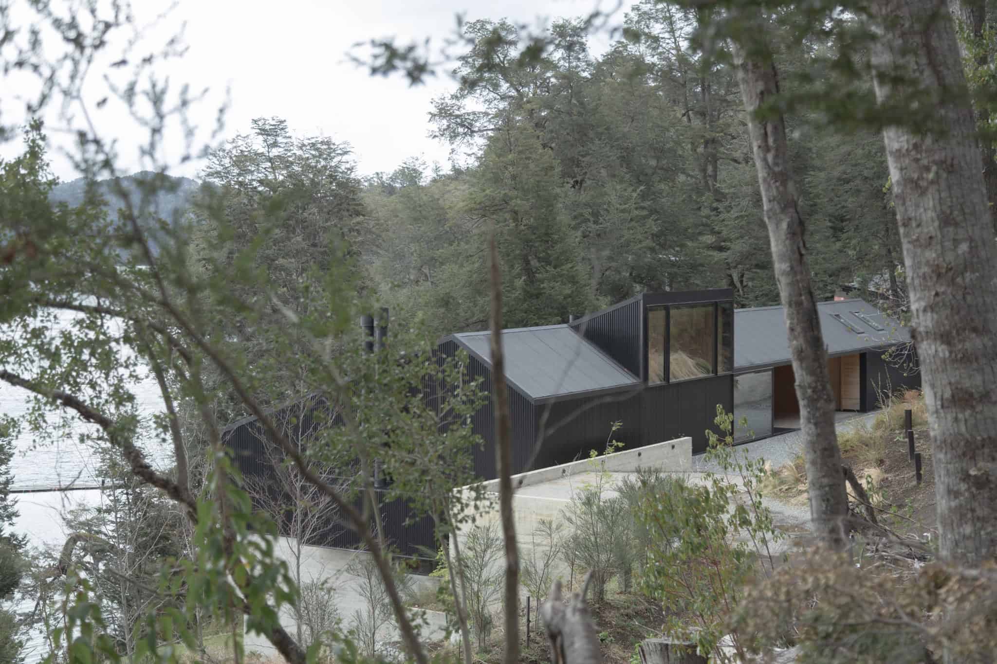 Forest-wrapped VLA House nestled in natural Patagonian landscape.