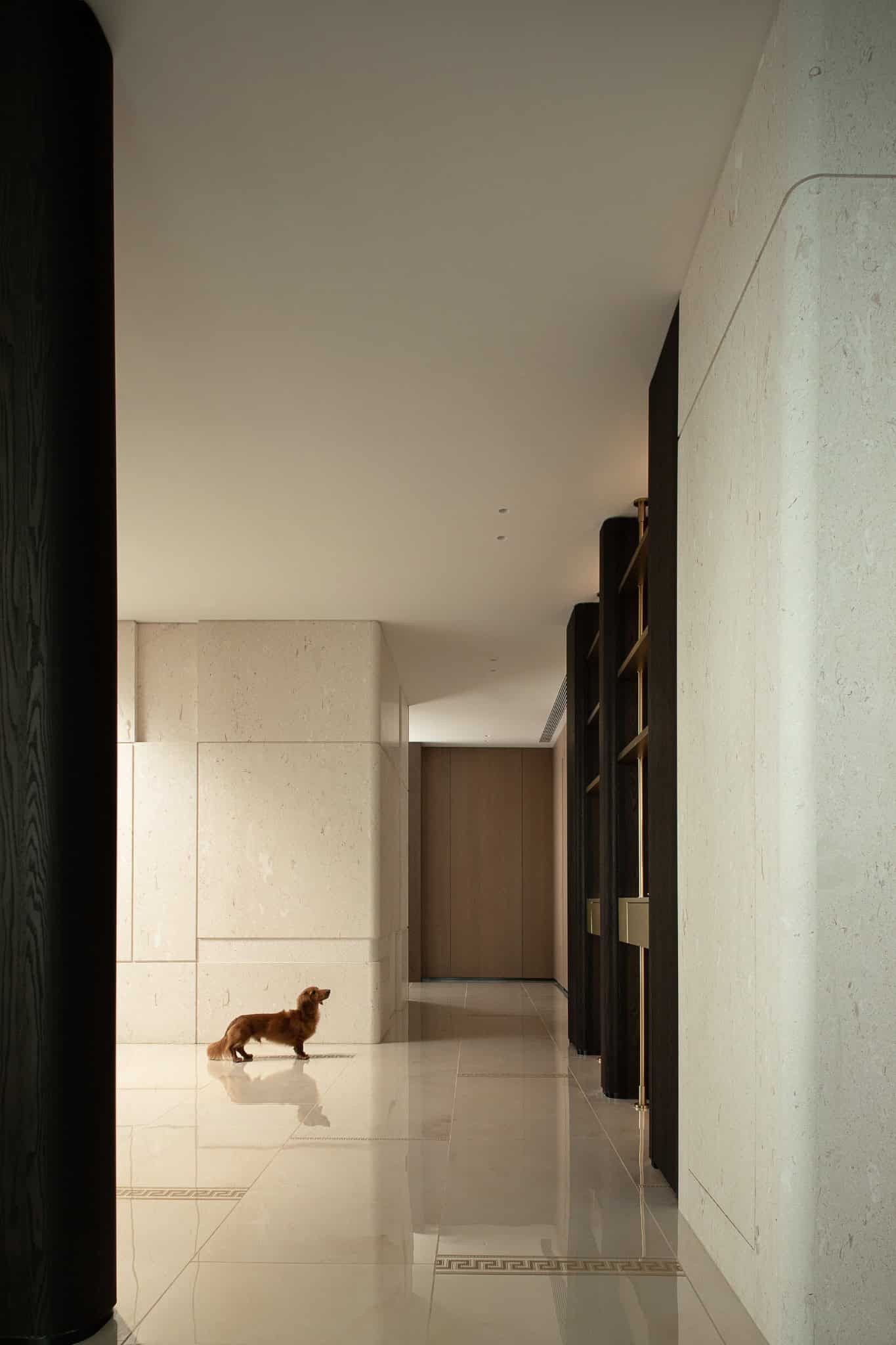 Azure Heights hallway dog long view by BDSD Boundless Design, Shenzhen, China