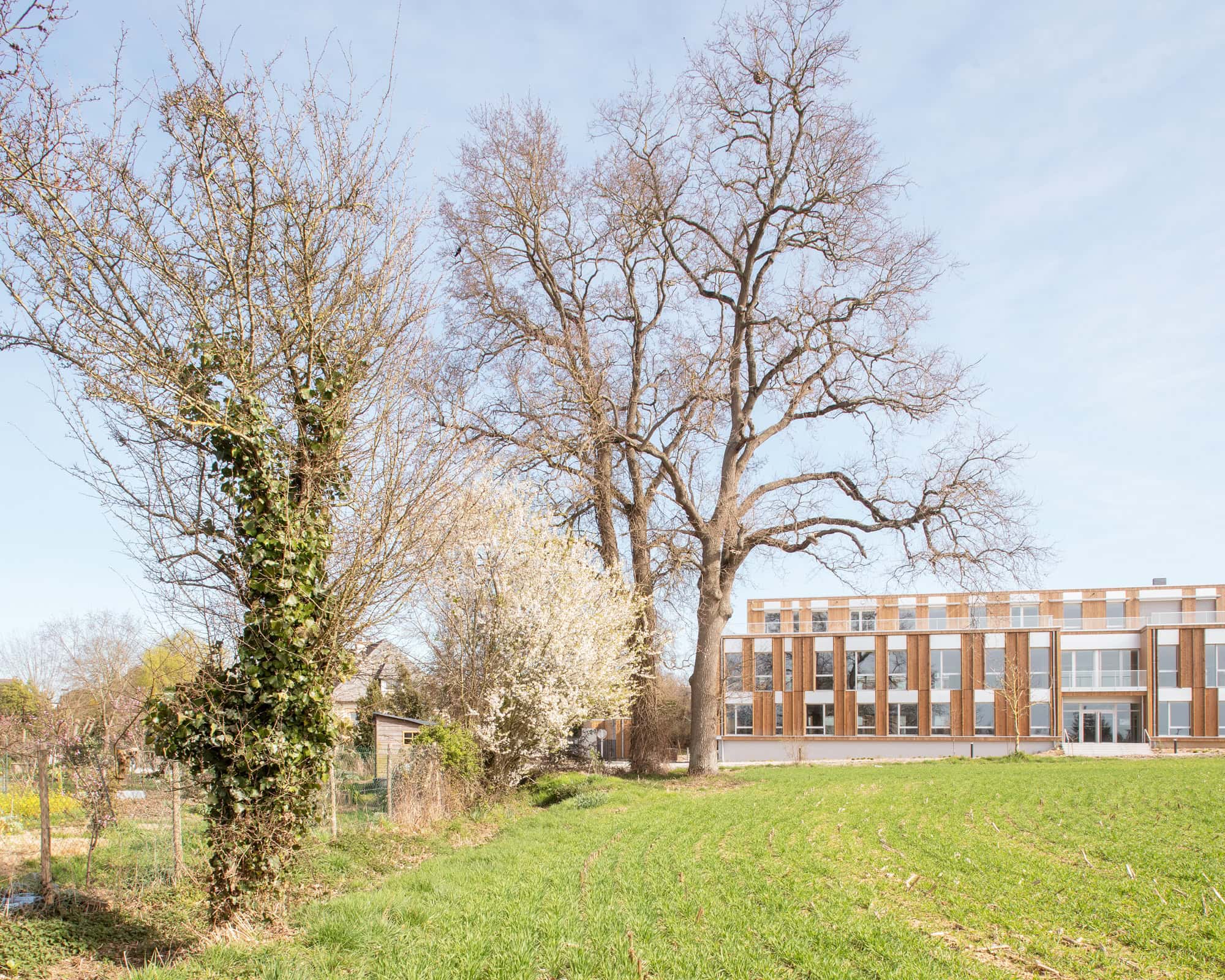 Le Chemin du Bois Harel Landscape Context Trees by ALTA Architectes Le Chemin du Bois Harel by ALTA Architectes — Landscape Context Trees, Rennes / Saint-Jacques-de-la-Lande, France