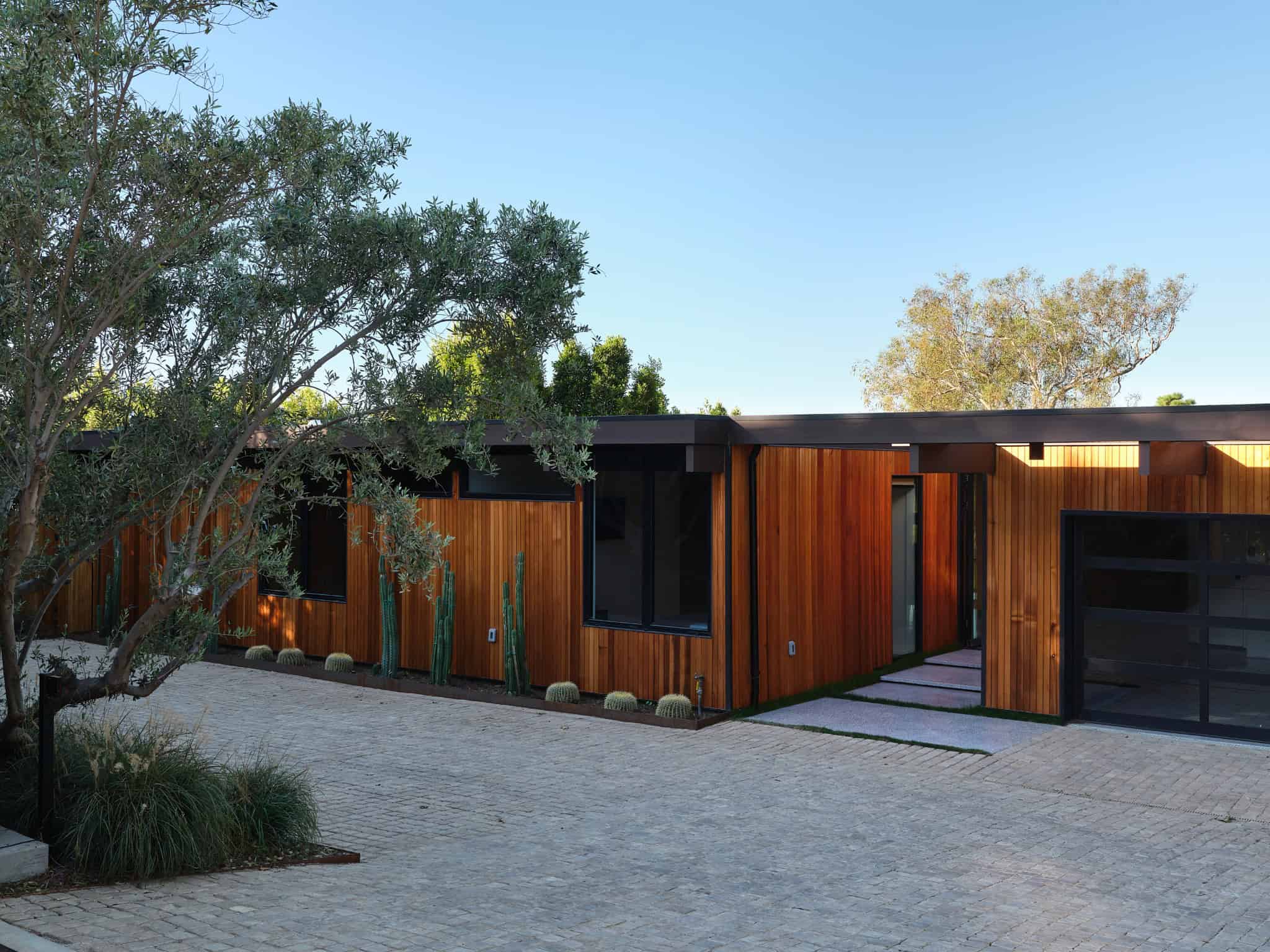 Malibu Glass Box House by Klopf Architecture – entry driveway with olive tree, Malibu, California