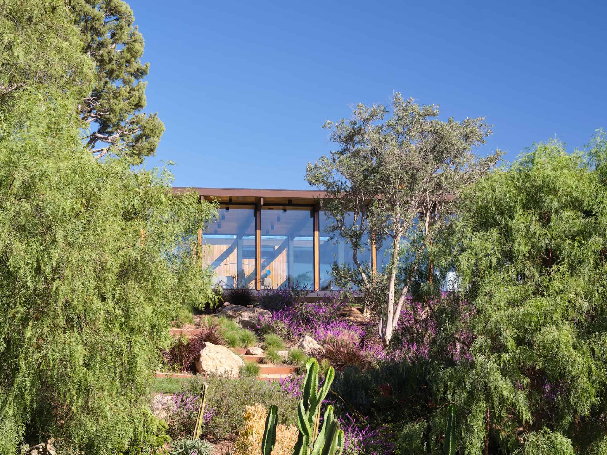 Modern glass house with sleek wooden frame nestled in lush desert landscaping, featuring vibrant purple flowers and cacti under a clear blue sky.