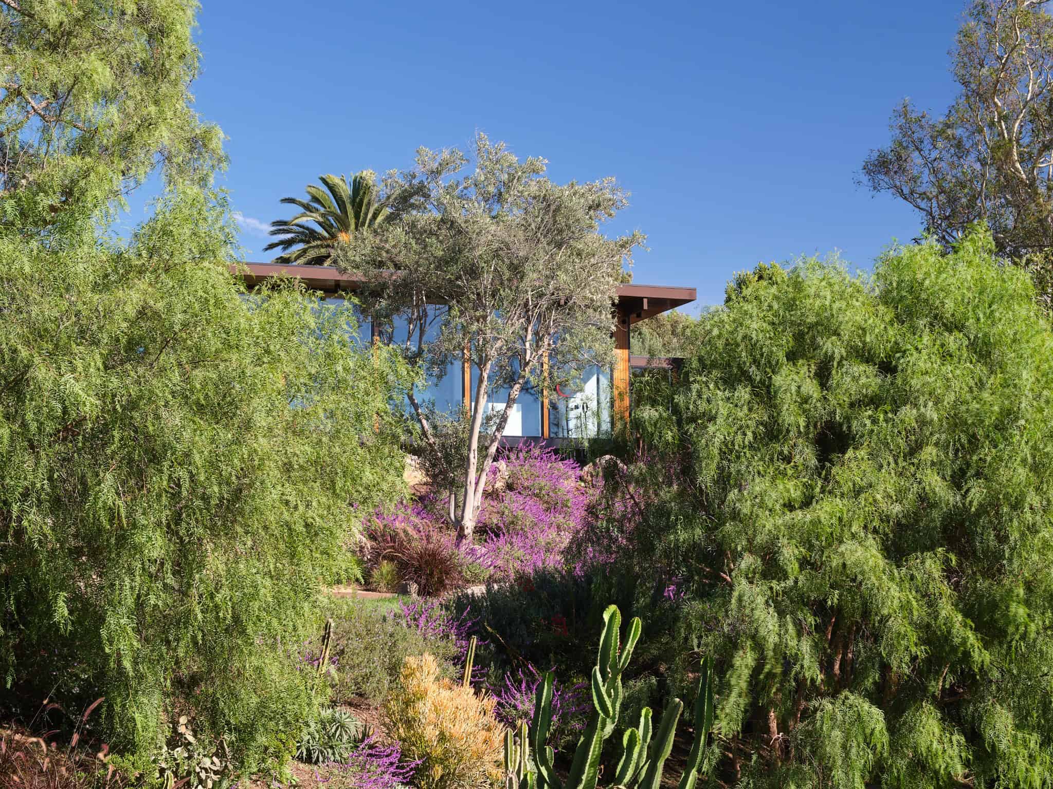 Malibu Glass Box House by Klopf Architecture – house among trees, Malibu, California