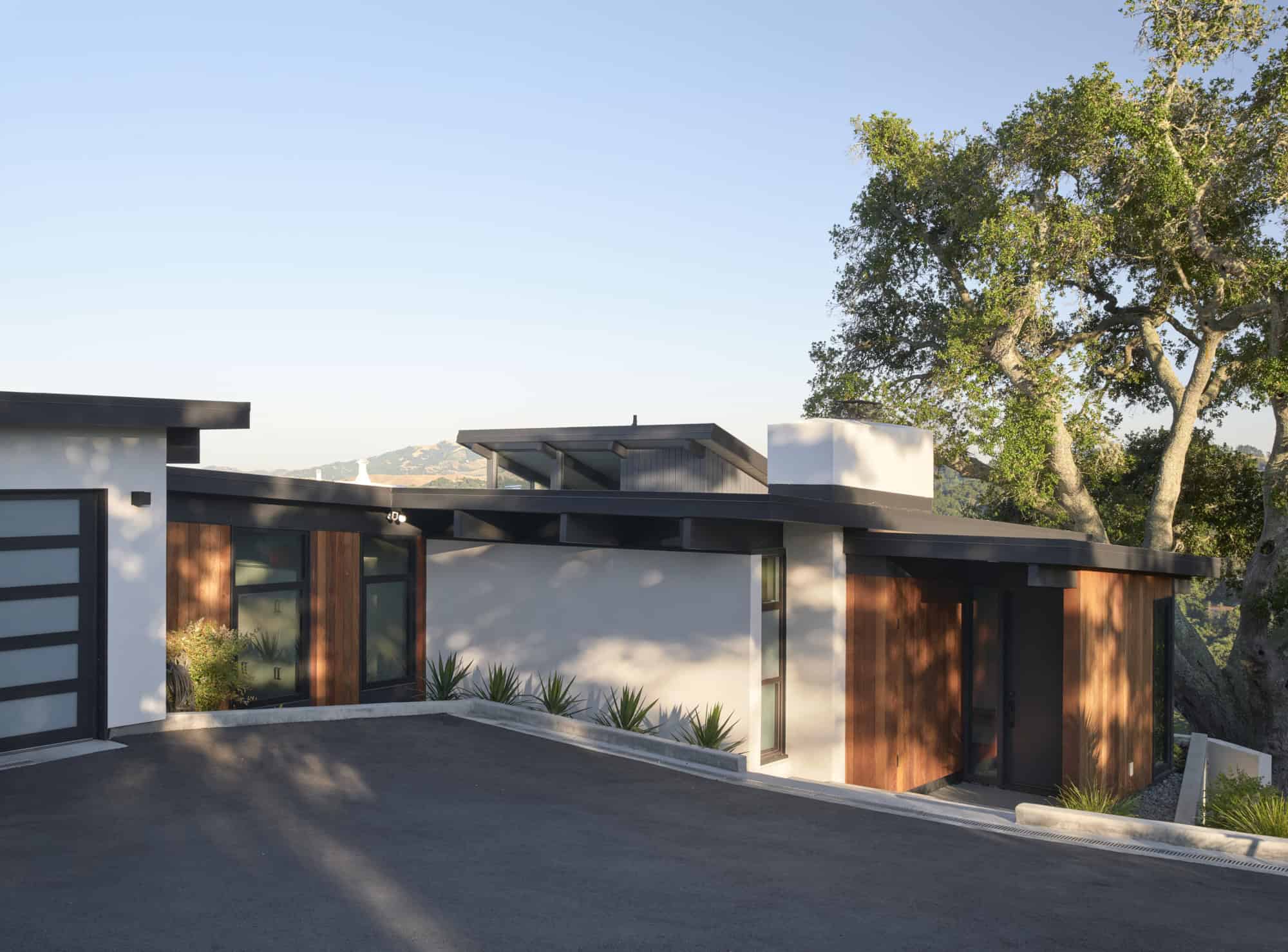 Contemporary modern house with sleek design, large windows, and natural wood accents, set amidst greenery and trees, showcasing contemporary architecture style.