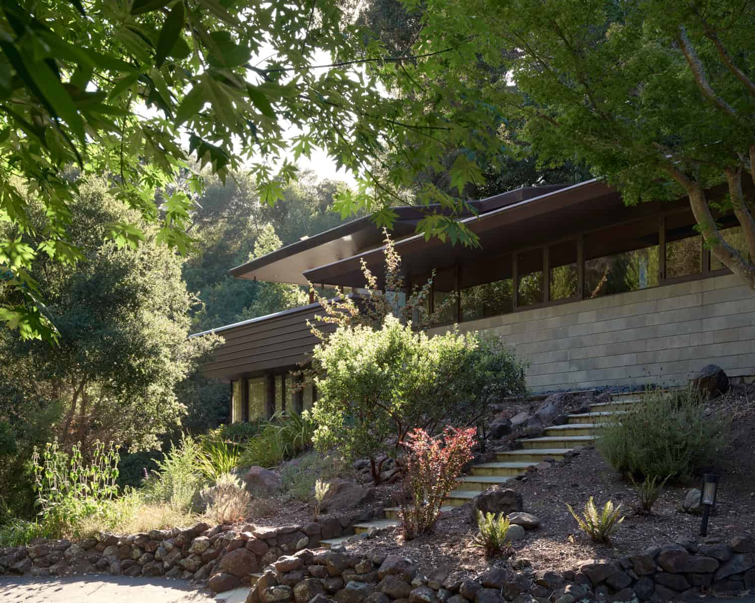 Olof Dahlstrand Mid-Century Remodel – Exterior Landscape Facade by Klopf Architecture Modern mid-century house with flat roof and large windows surrounded by lush greenery in a landscaped garden.