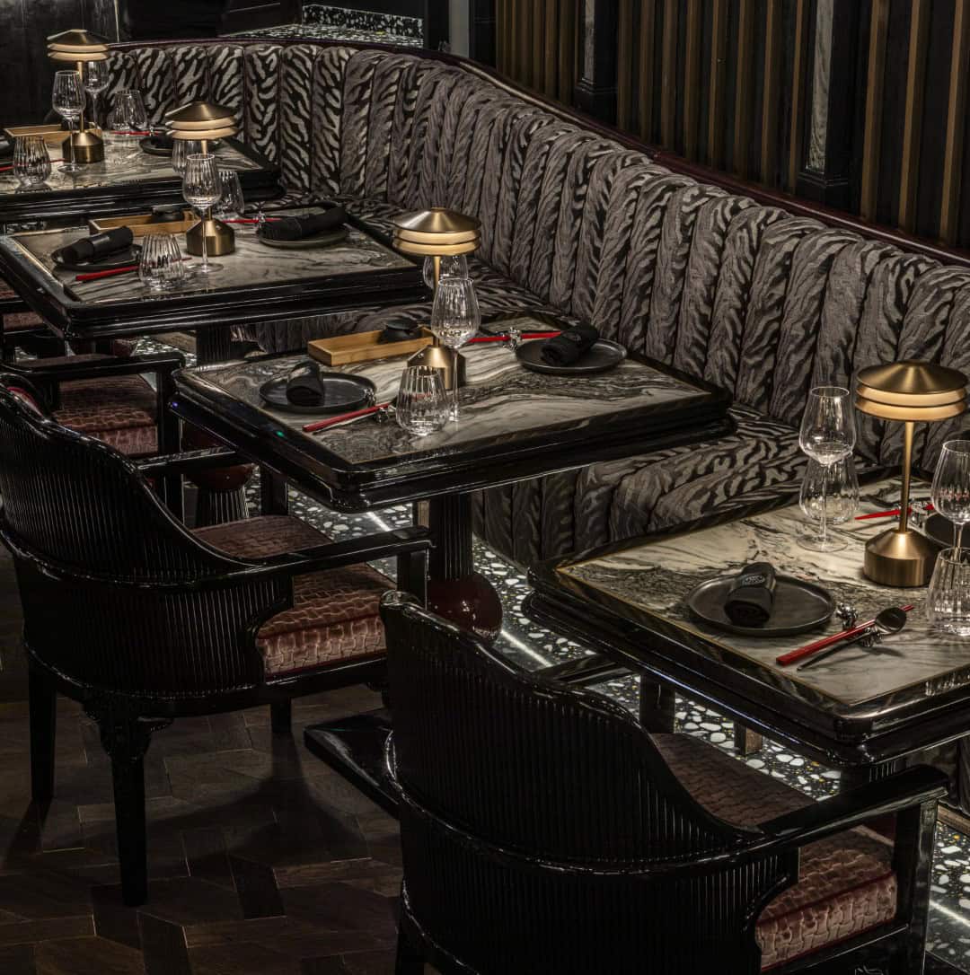 TATTU Dubai / Studio WYZE / United Arab Emirates TATTU Dubai / Studio WYZE / United Arab Emirates