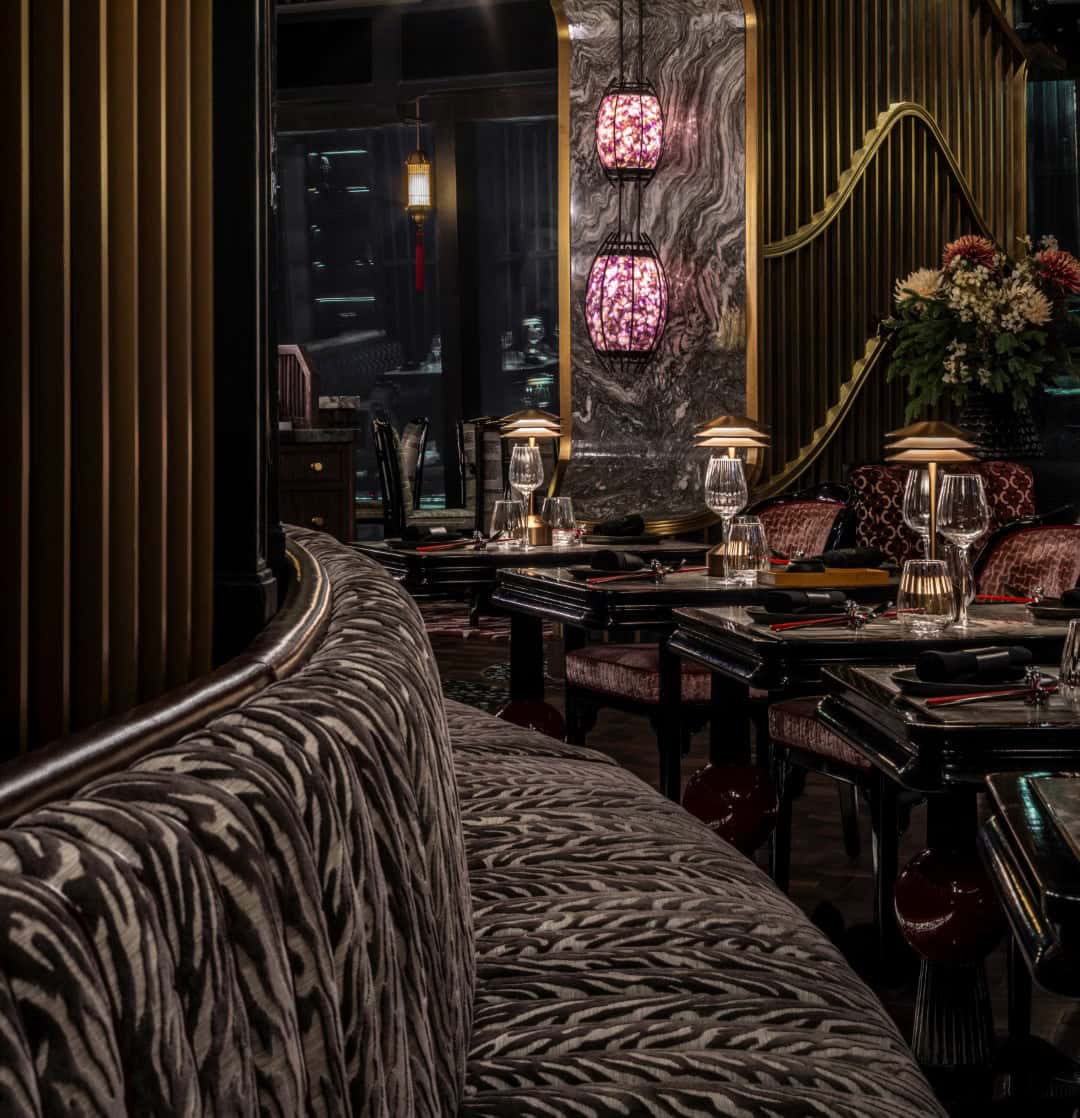 TATTU Dubai / Studio WYZE / United Arab Emirates TATTU Dubai / Studio WYZE / United Arab Emirates