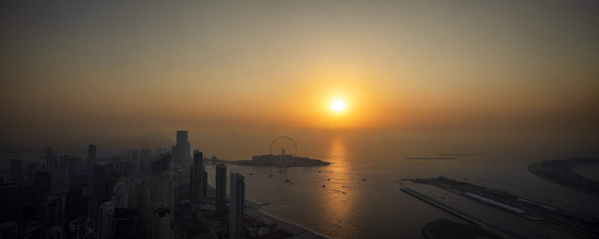 TATTU Dubai / Studio WYZE / United Arab Emirates TATTU Dubai / Studio WYZE / United Arab Emirates