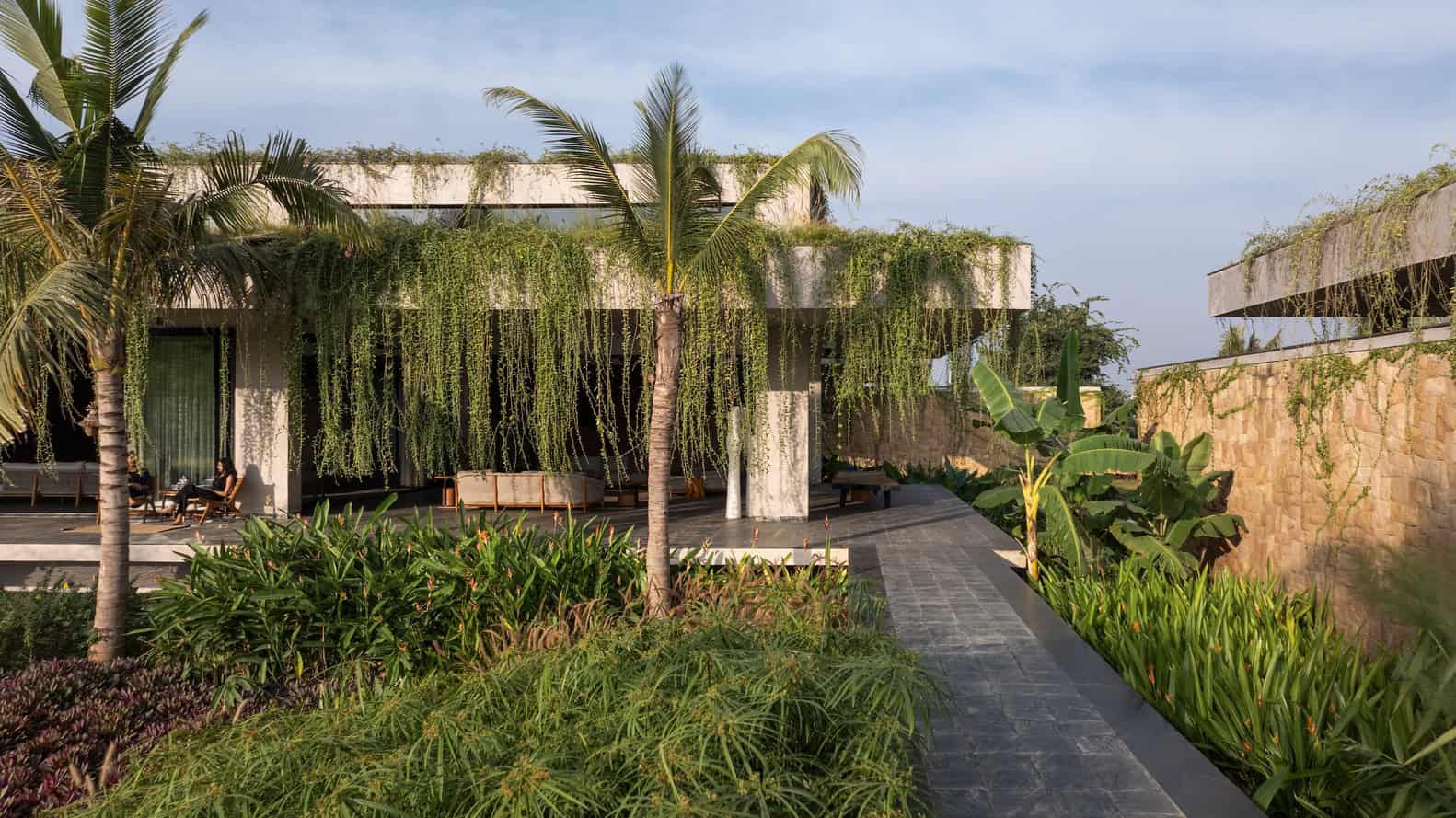 Antriya House Veranda with Green Vines by 23 Degrees Design Shift Antriya House by 23 Degrees Design Shift — veranda shaded by cascading vines, Hyderabad, India