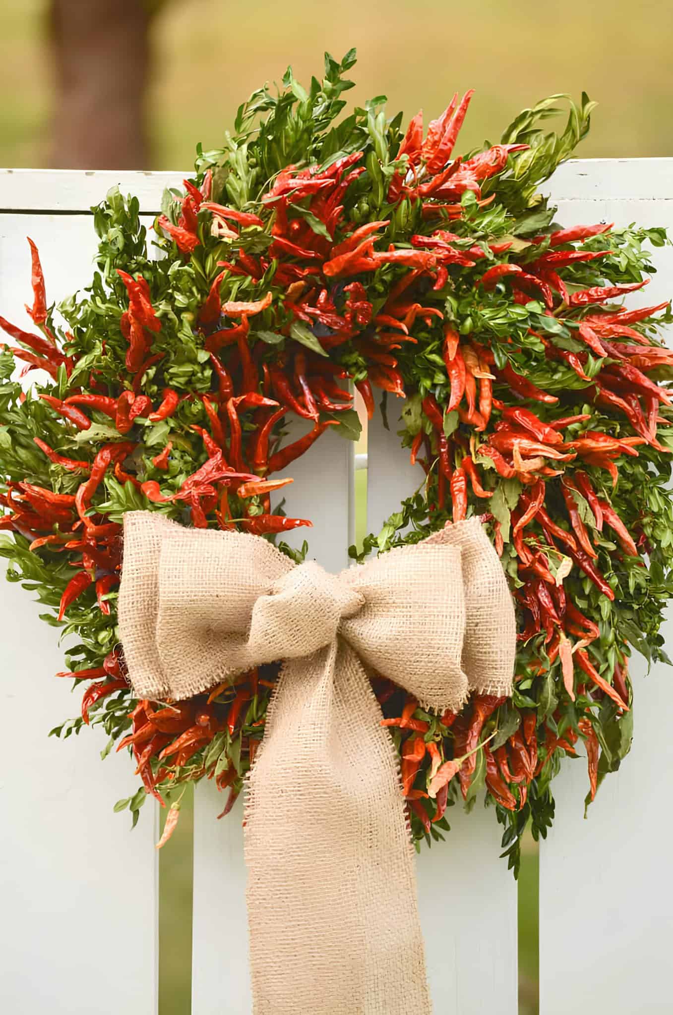 Festive wreath made with red chili peppers and greenery finished with a burlap bow