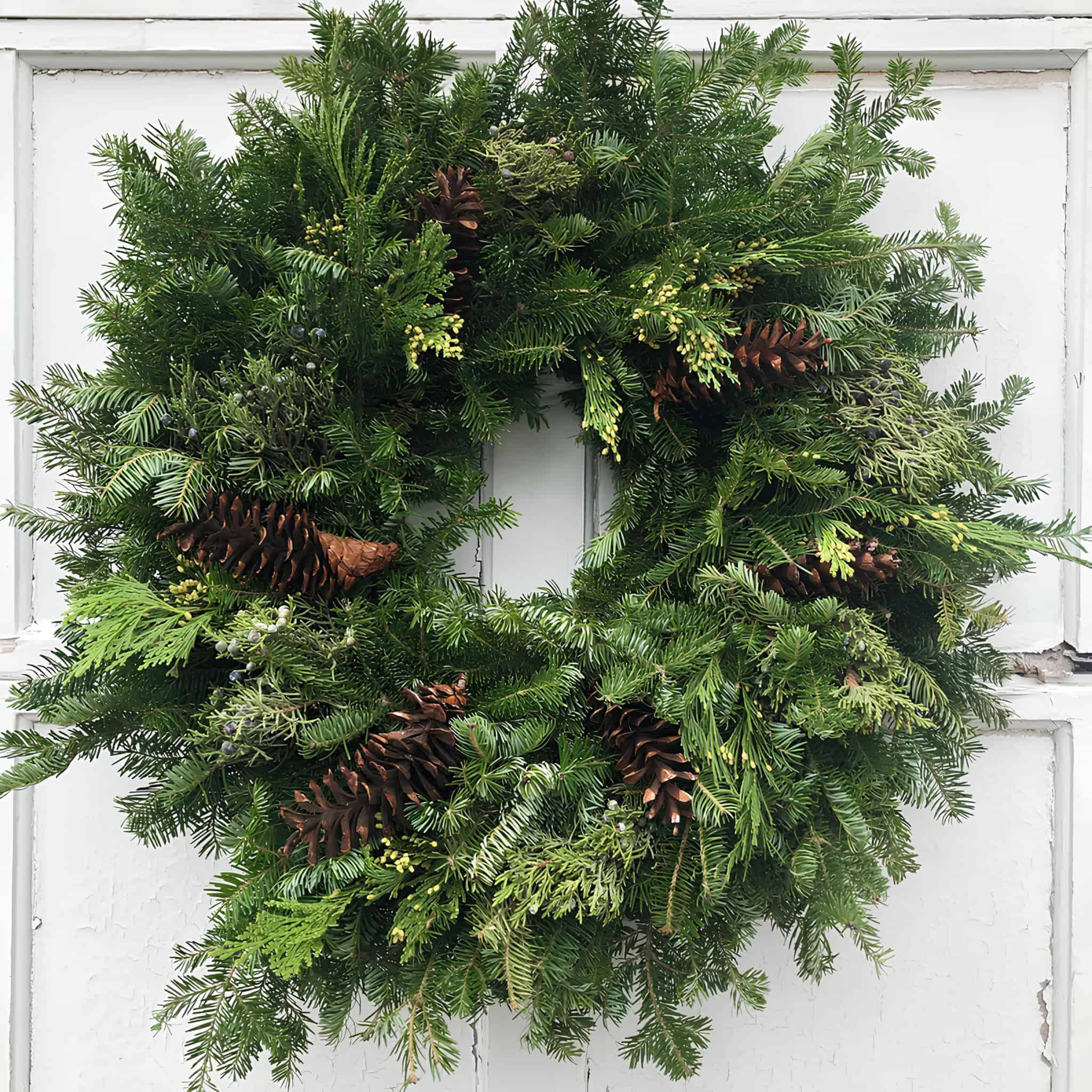 Traditional evergreen wreath with scattered pinecones for Christmas