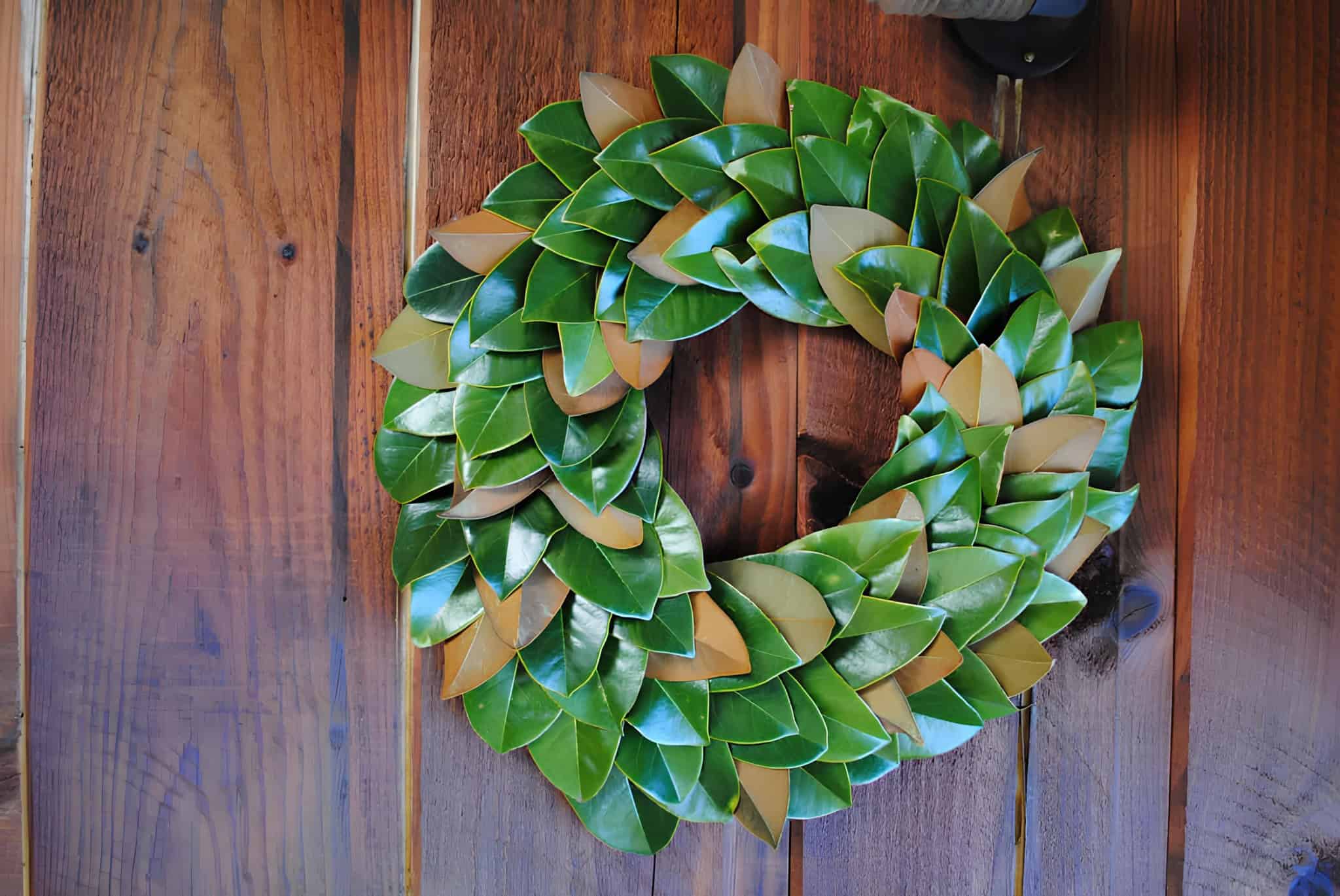 Fresh magnolia leaf wreath showcasing glossy green leaves and bronze undersides