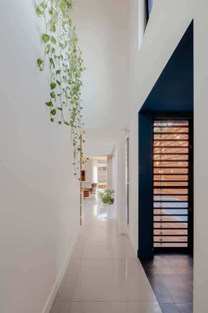 Mahogany House Hallway Greenery by R ARCHITECTURE Mahogany House by R ARCHITECTURE, hallway with natural light and cascading greenery, Mount Waverley, Victoria