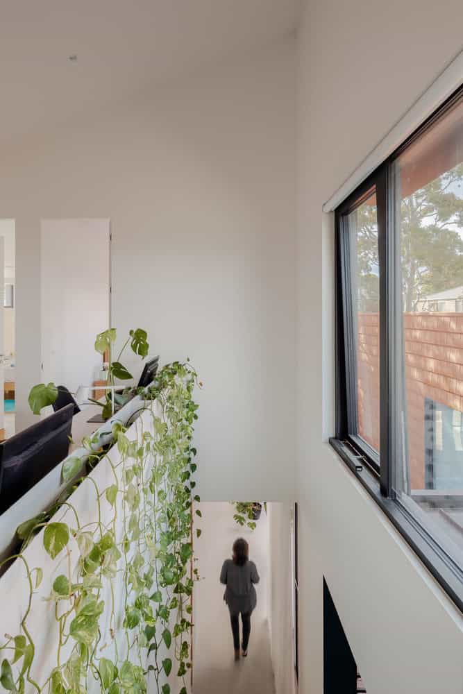 Mahogany House Staircase with Hanging Plants by R ARCHITECTURE Mahogany House by R ARCHITECTURE, staircase with hanging plants and double-height lightwell, Mount Waverley, Victoria