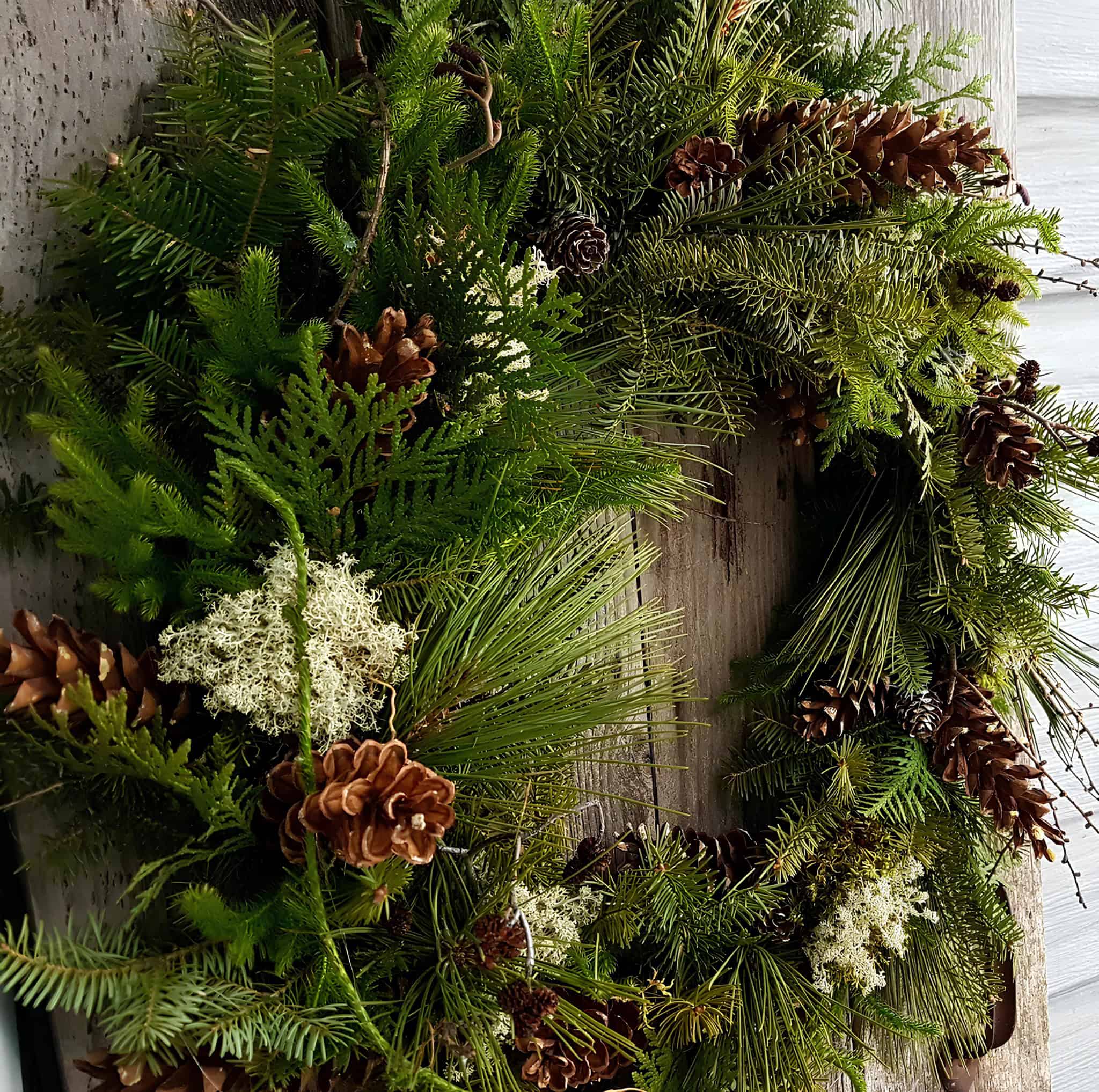 Woodland Christmas wreath with mixed evergreens and pinecones