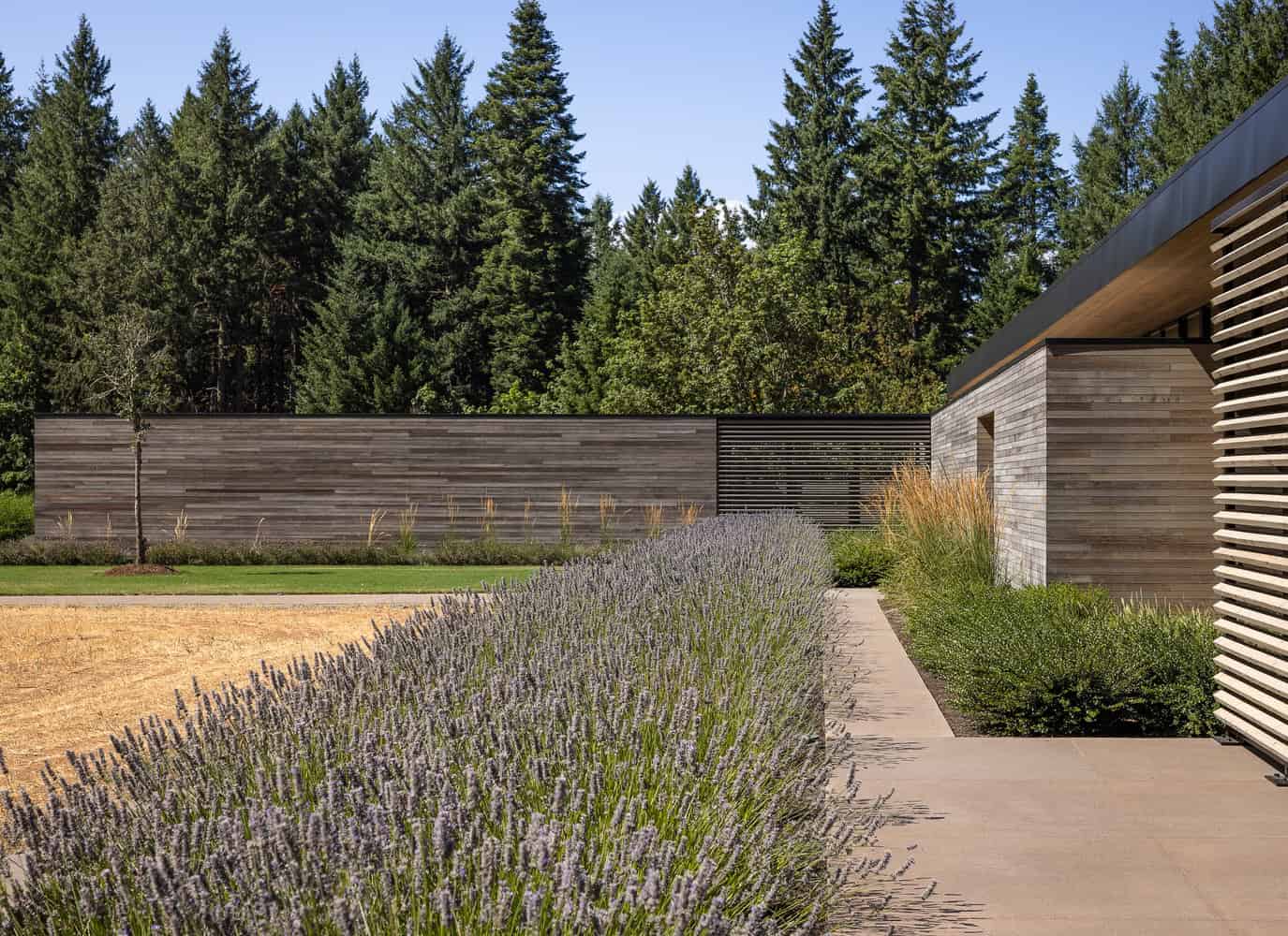 Evening Sky Residence by Scott I Edwards Architecture, garden walkway with lavender and screen wall in McMinnville, Oregon, USA