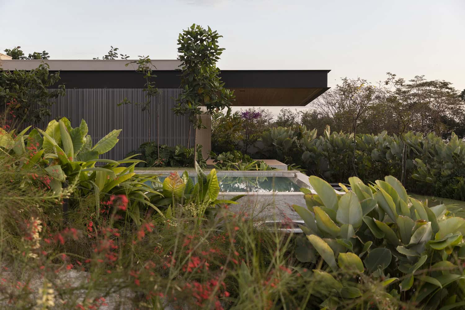 FE House by N2B Arquitetura pool surrounded by tropical garden in Ribeirão Preto, Brazil