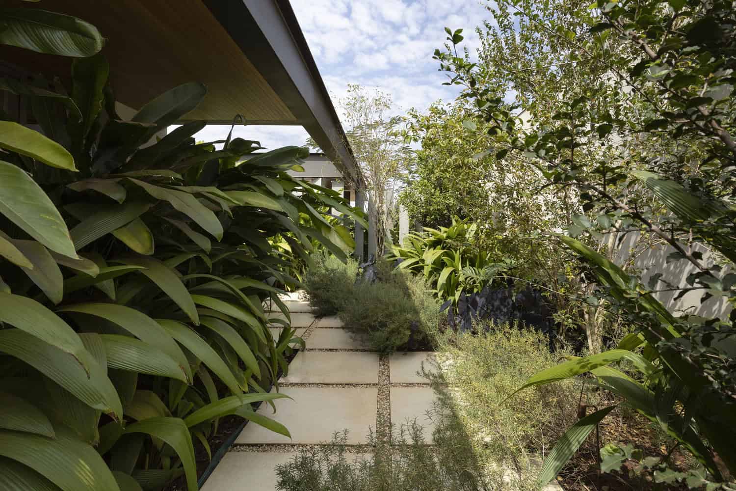 FE House by N2B Arquitetura side garden path with dense tropical planting in Ribeirão Preto, Brazil