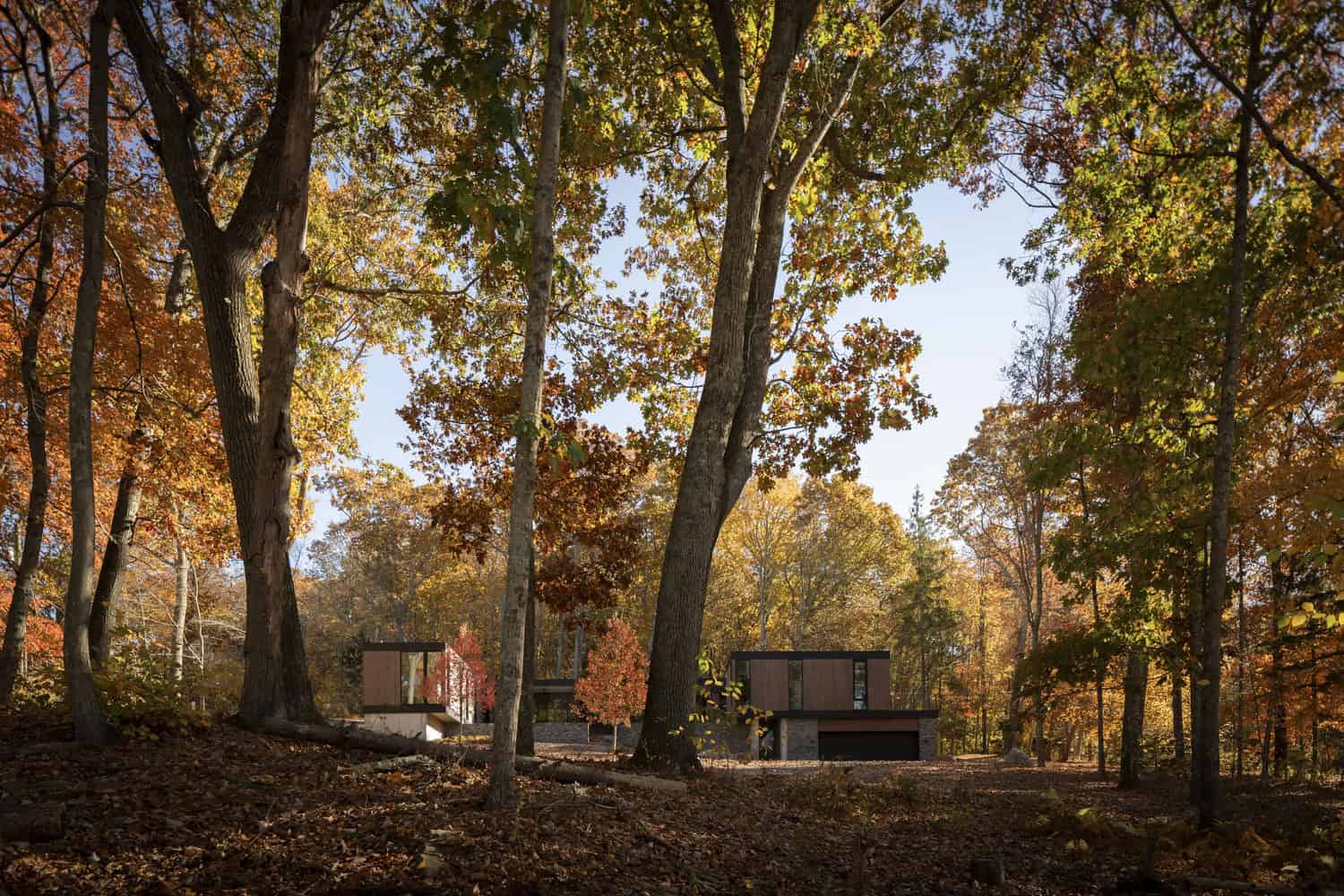House in the Woods by Tom Lontine Architect, forest site context in Connecticut