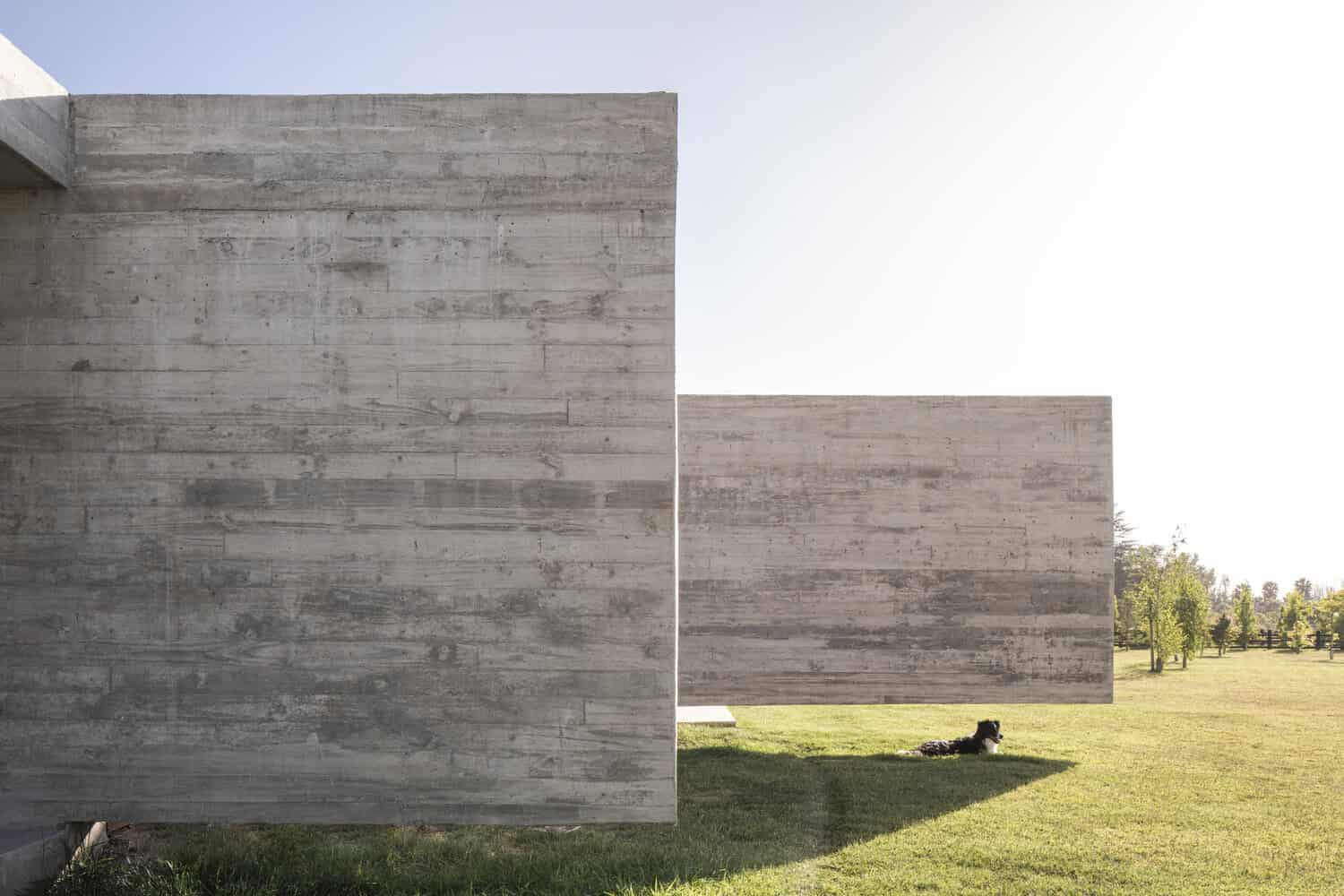 House La Primavera by Nicolas Vicente – concrete volumes with dog resting, Chile