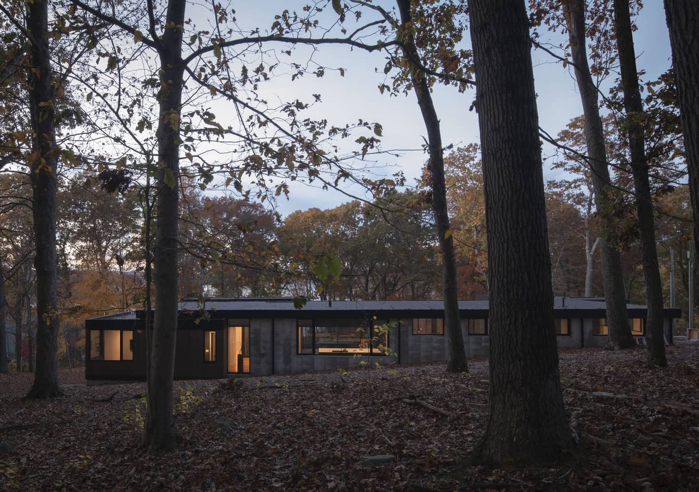 House in the Woods exterior nestled in Connecticut forest at dusk by Tom Lontine Architect