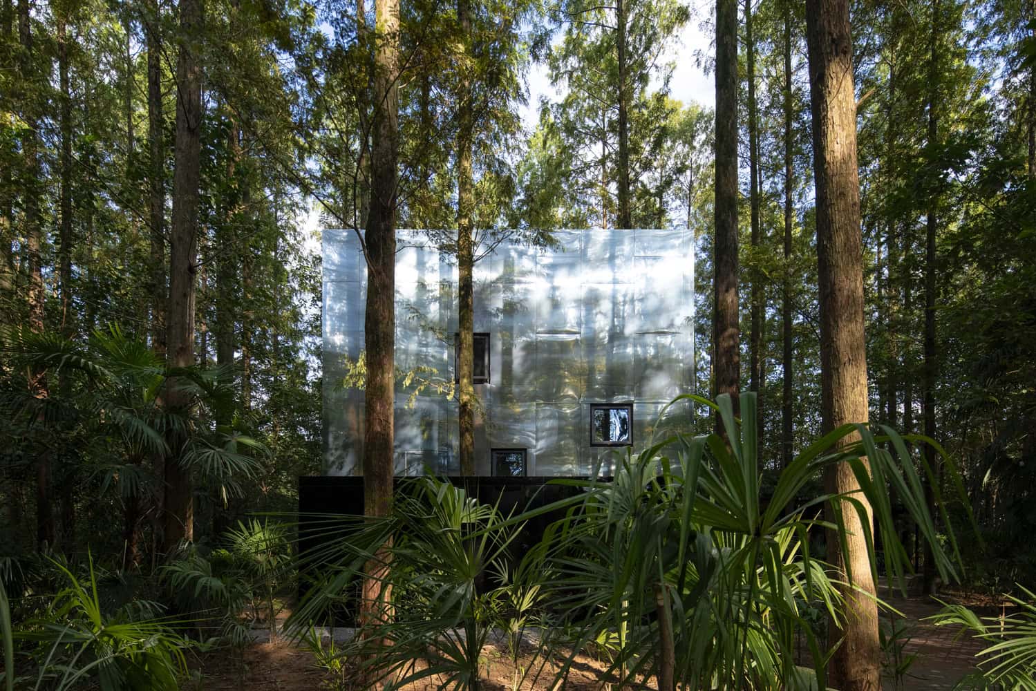 Reflective forest-modern house emphasizing eco-friendly architecture and innovative design in a lush wooded landscape.
