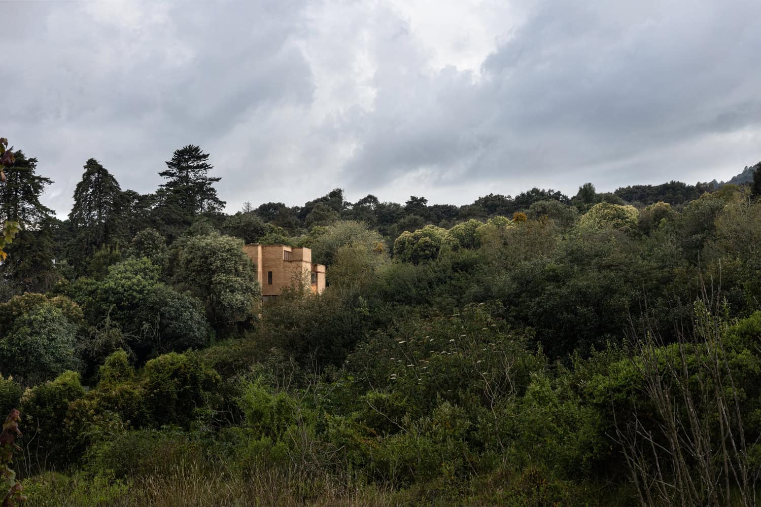 The Sierra House by Valdez Arquitectos emerging from the forested hills of Chiapas, Mexico