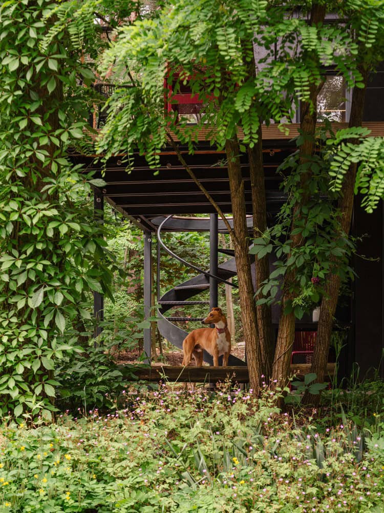 Spiral outdoor staircase surrounded by lush green foliage and trees with a dog standing on the lower level, showcasing modern architecture integrated with nature, perfect for garden and landscape design inspiration.