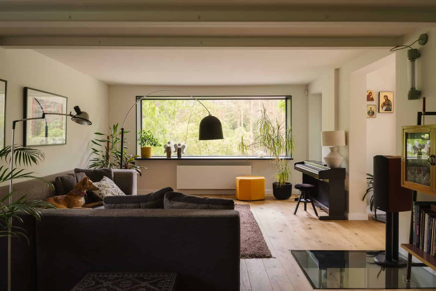 Bright contemporary living room with large window showcasing lush greenery, featuring modern furniture, plants, and an interior design emphasizing natural light and cozy ambiance.