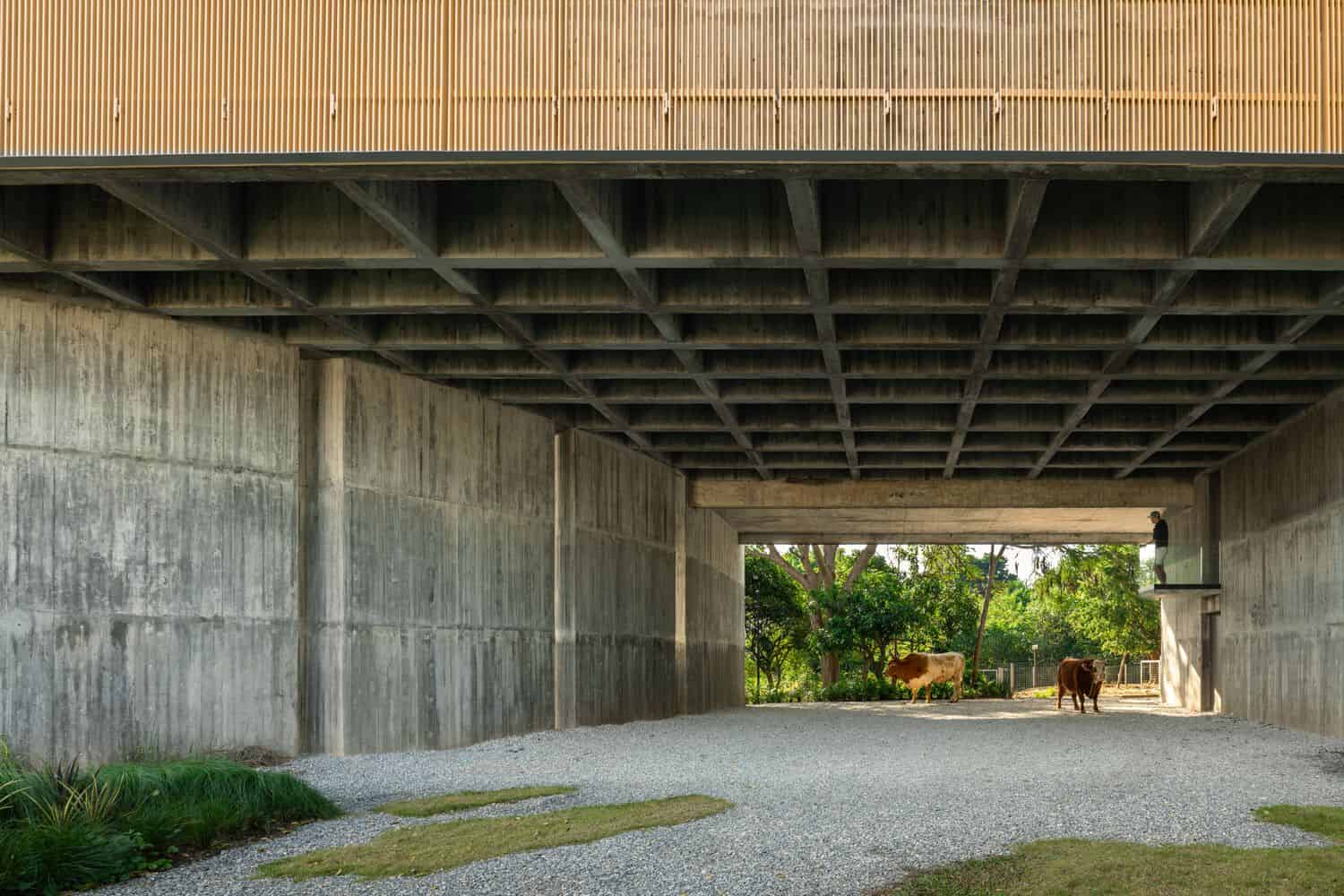 Open undercroft concrete space beneath W House II by IDIN Architects in Thailand