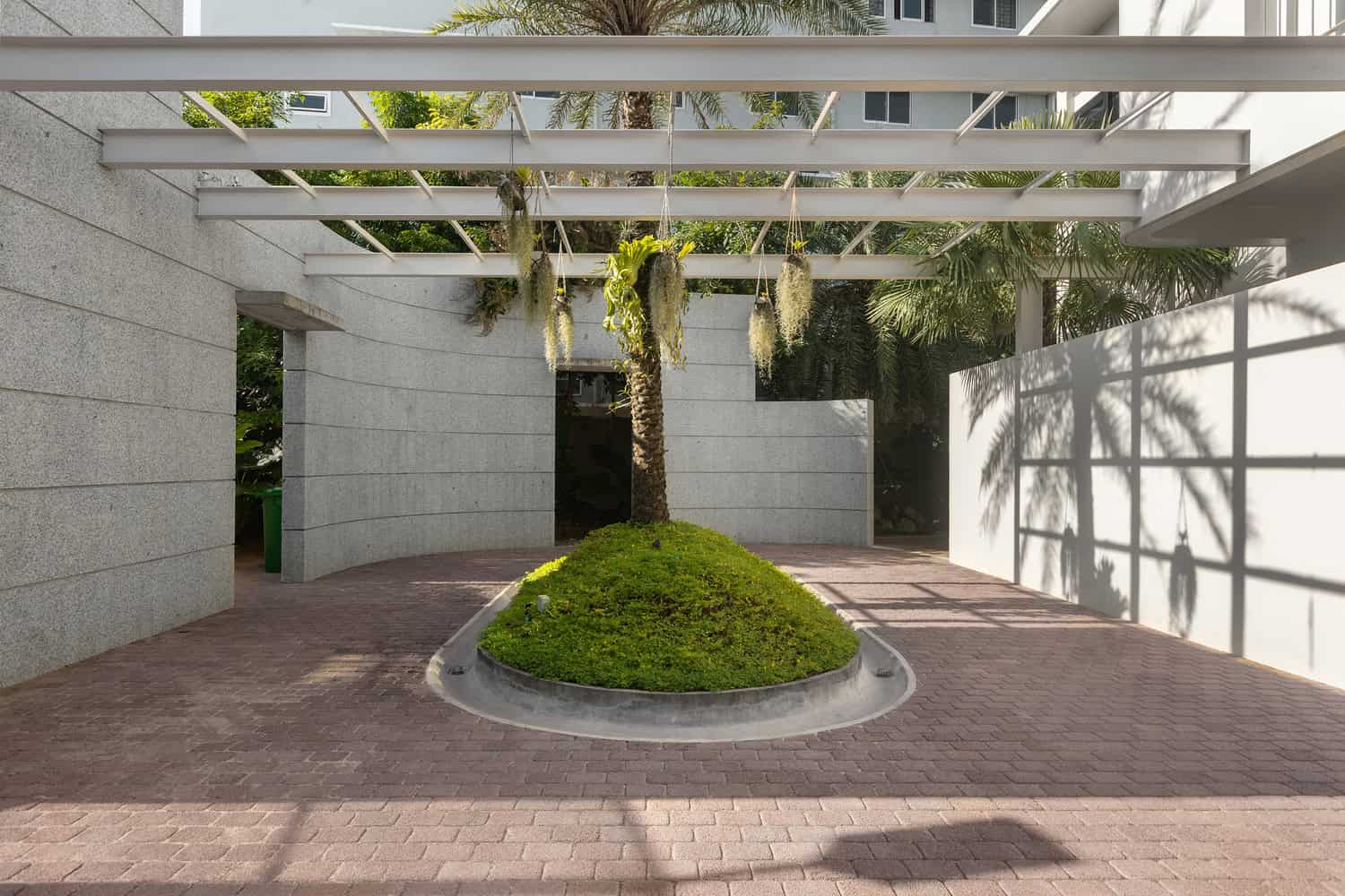 Wat Bo House by UAD Architects circular planter with palm beneath light pergola in Cambodia